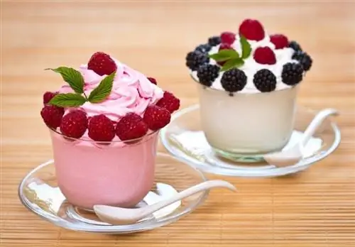 gefrorener Joghurt mit Beeren