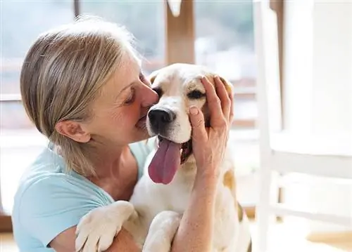 20 meilleures races de chiens pour les personnes âgées & Les personnes âgées (avec photos)