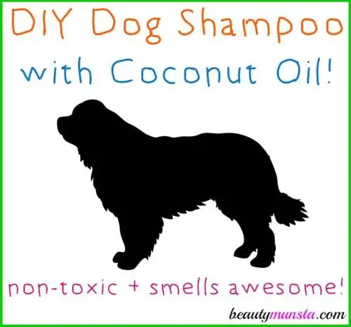 Beauty Munsta Dog Shampoo