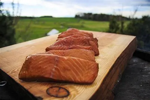 salmón ahumado al aire libre