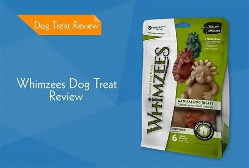 Rishikimi i Whimzees Dog Treats 2023: Rikujton, Pro & Kundër