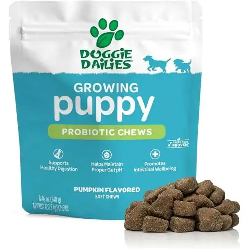 Doggie Dailies Puppy Probiotics for Puppies w_Digestive Enzymes