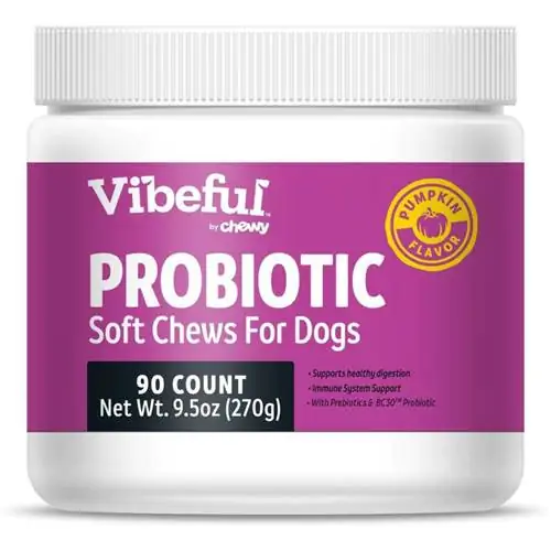 Vibeful Probiotic Bites Viên nhai mềm có hương vị bí ngô