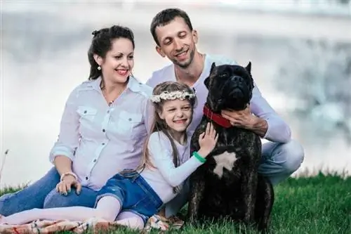 portrait de famille heureuse avec canne corso