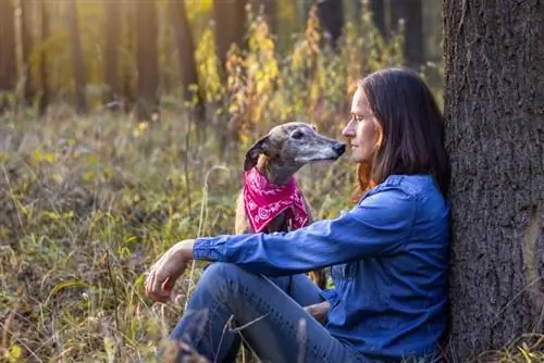 spansk greyhound hund med sin ejer