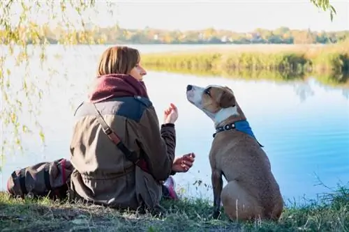 pies terapeutyczny siedzi z właścicielem nad jeziorem