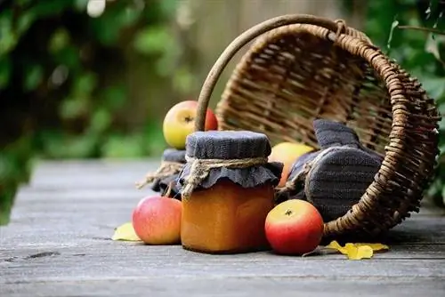 ¿Pueden los perros comer puré de manzana?