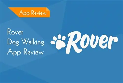 Rover.com Dog Sitting & Walking App Review 2023: Жакшы жактары, Минустары & Өкүм