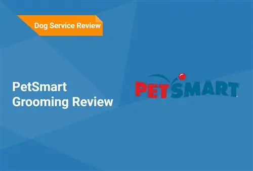 รีวิว PetSmart Grooming 2023: ข้อมูล, คำถามที่พบบ่อย & เพิ่มเติม