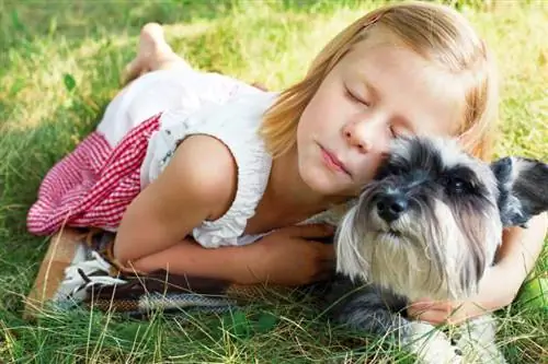 petite fille étreignant son petit chien schnauzer nain