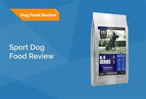 Sport Dog Food Review 2023: Recalls, Prós & Contras