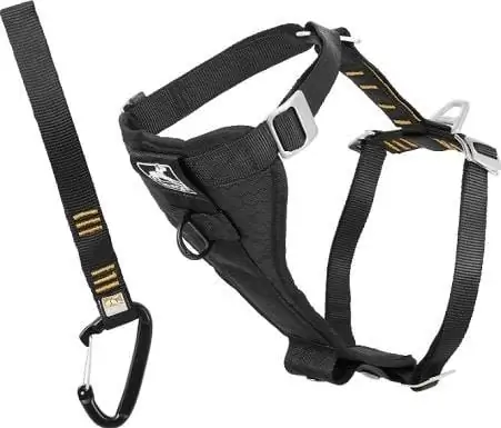 Kurgo Tru-Fit Smart Harness