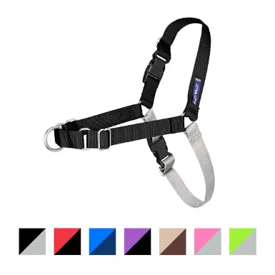 PetSafe Easy Walk Dog Harness