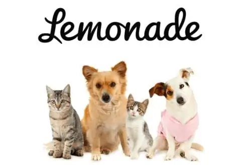 Logo du site de limonade