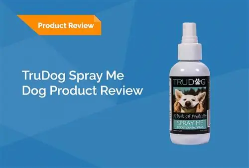 TruDog Spray Me Review 2023፡ ጥቅሞች፣ ጉዳቶች & ውሳኔ