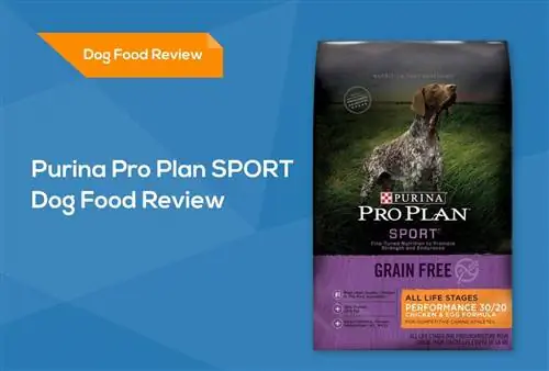 Purina Pro Plan SPORT Dog Food Review 2023: Recalls, Prós & Contras