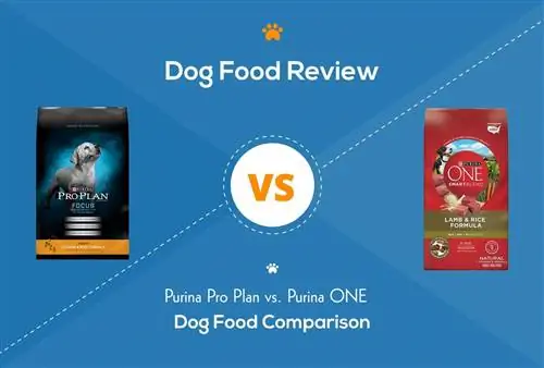 Purina Pro Plan versus Purina ONE: Wat is het verschil?