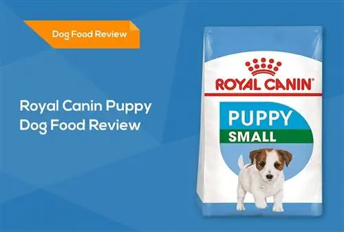 Royal Canin Puppy Dog Food Review 2023: Muistutukset, plussat & Miinuksia