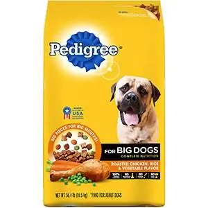 Pedigre Large Breed Adult