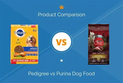 Nourriture pour chiens Pedigree vs Purina : Comparaison 2023