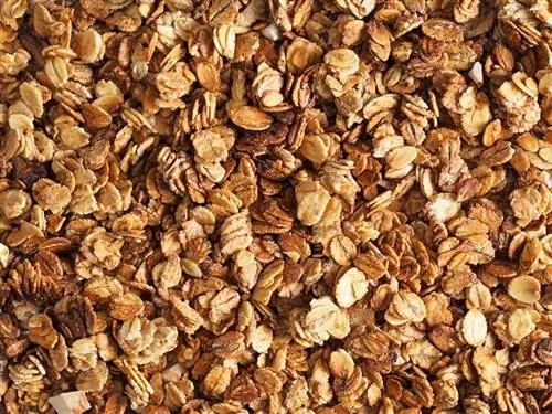 Orgaaniline omatehtud Granola teravilja kaera ja mandliga