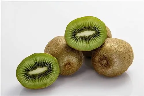 kiwi's