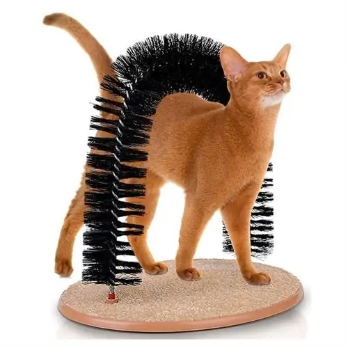 King E-Market Massage Cat Toy