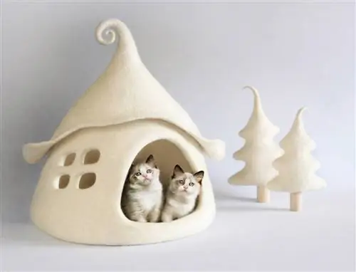 Felt Field Cat House