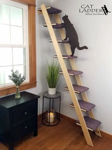 Cat Ladder Feline Furniture 8-საფეხურიანი არყის კიბე