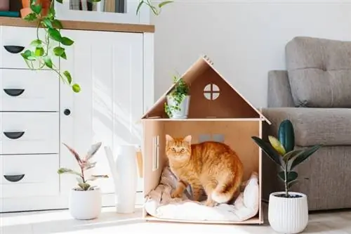 20 Cool & Produk Perabot Kucing Kreatif: Sesuai untuk Rakan Kucing Anda