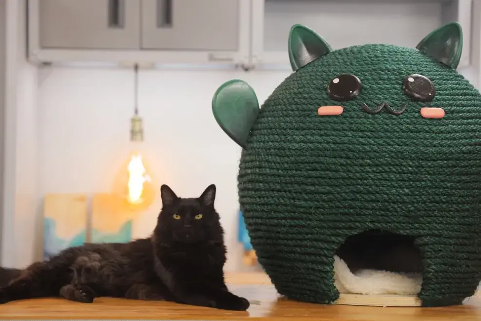 Cama para gatos con globo gigante