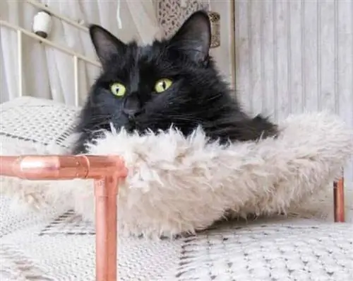 Copper Pipe Purr Baby bed