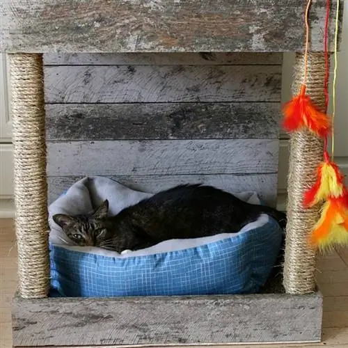 DIY cat bed