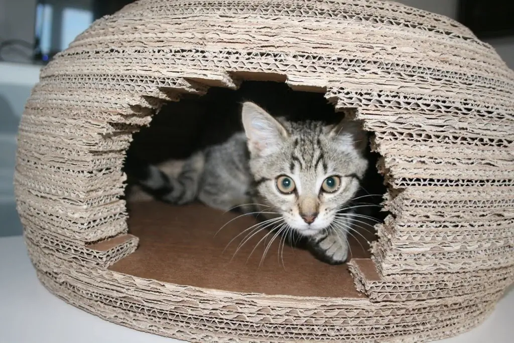 Karton Cat Igloo House oleh Instructables