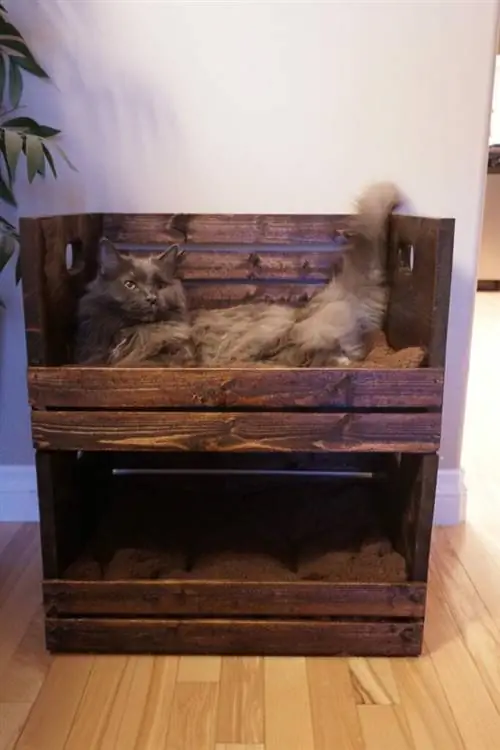 Cama de beliche de caixote faça você mesmo para gatos - Meu vetosp