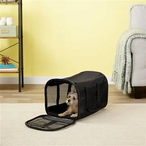 Petmate Soft-Sided Dog & Cat Carrier Bag