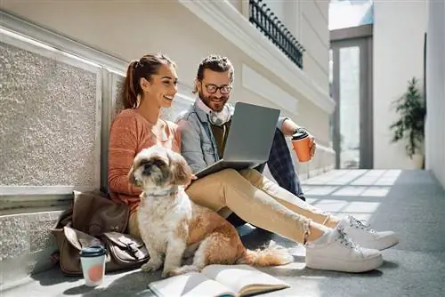 Tinerii studenți fericiți învățând e-learning pe laptop în timp ce stau pe un hol cu asigurarea câinelui lor