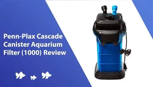 Penn-Plax Cascade Canister Aquarium Filter (1000) Recenze 2023: Klady, zápory & Verdikt