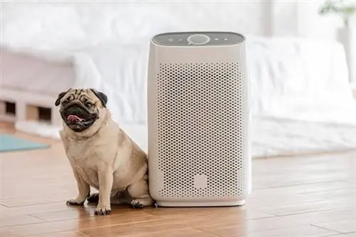 Air Purifier_shutterstock_Yuttana Jaowattana