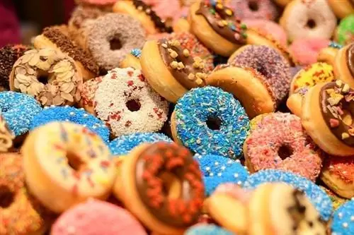 Cachorros podem comer rosquinhas