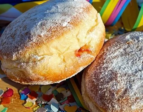 Cachorros podem comer rosquinhas