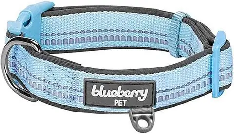 Blueberry Pet Reflekterende Hundehalsbånd