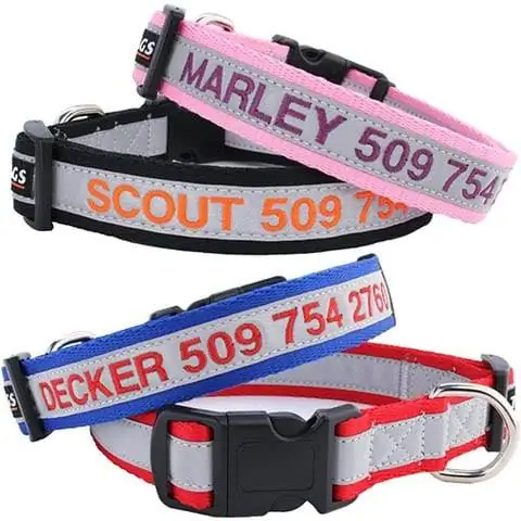 GoTags Reflective Personalized Dog Collar