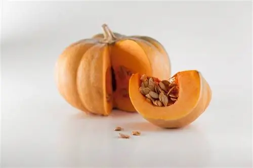 calabaza en rodajas