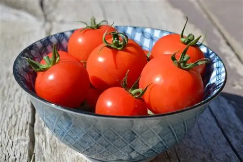 Tomates cherry