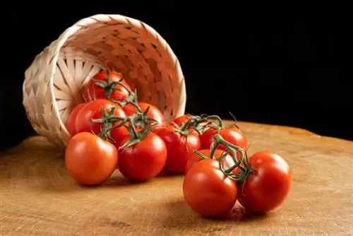 tomates frescos na mesa de madeira