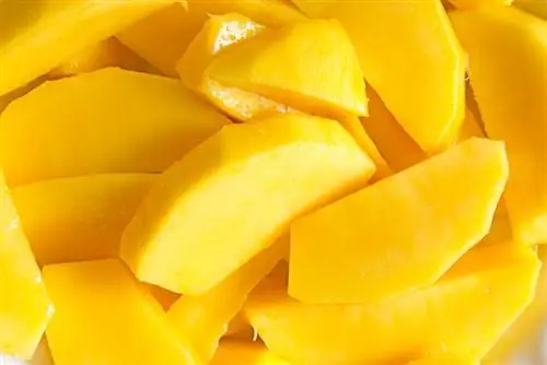 Mango šķēle