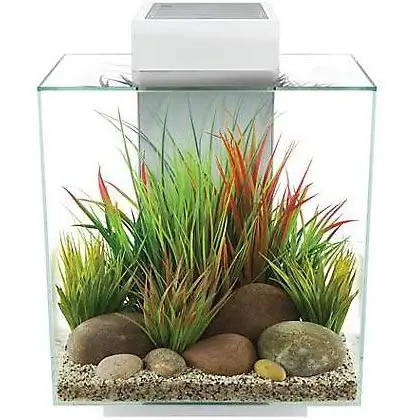 Kit acquario in vetro Fluval Edge 2.0