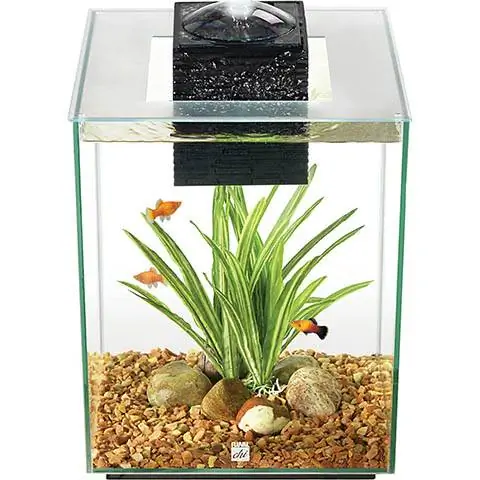 Kit Acquario Fluval Chi