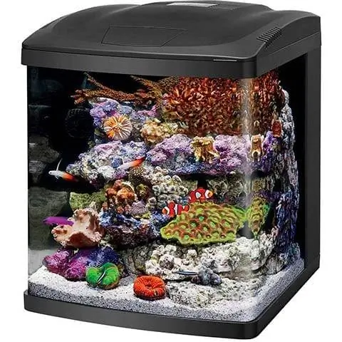 Kit acquario Corallife LED BioCube